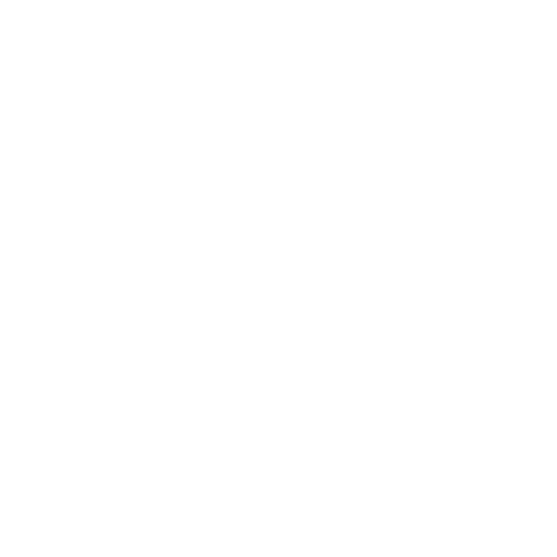 Google Review