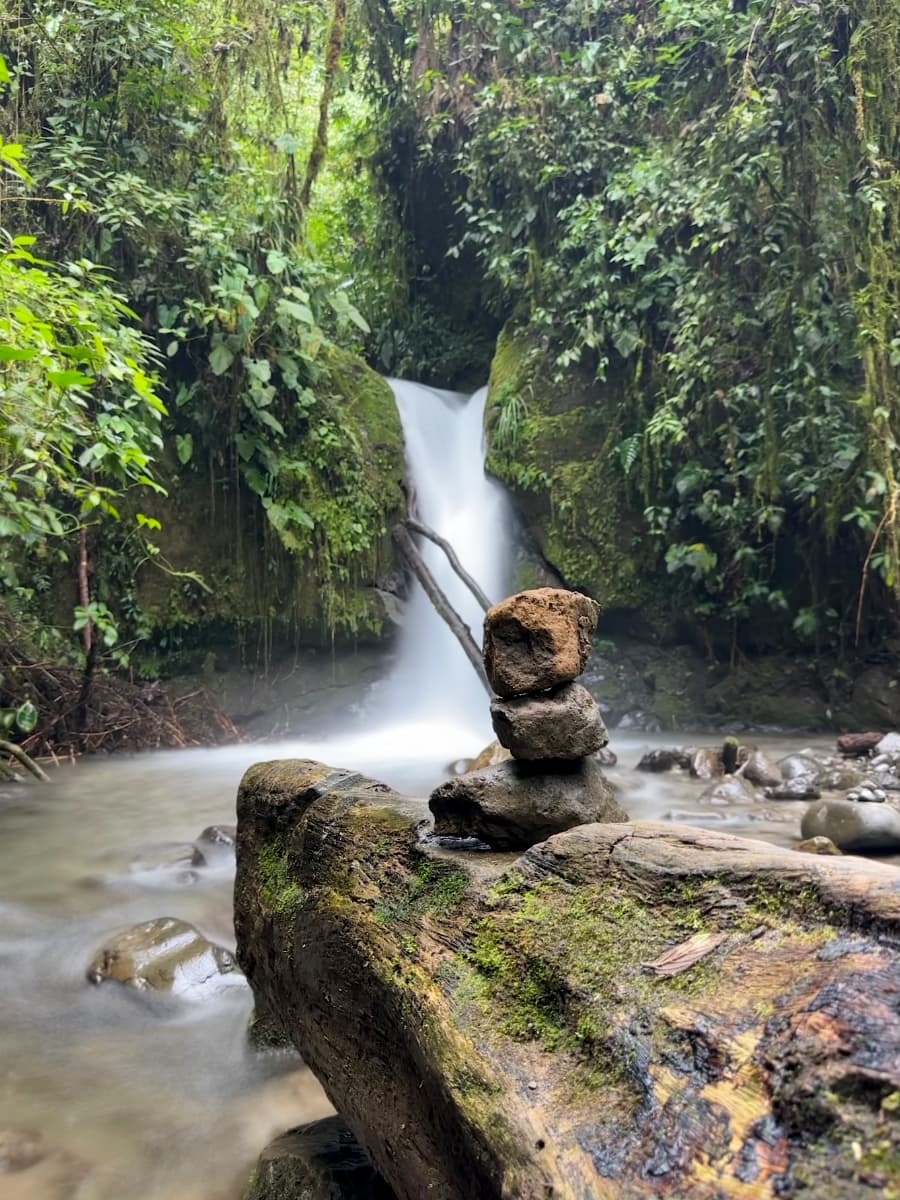 Birding in Mindo cloud forest, Ecuador