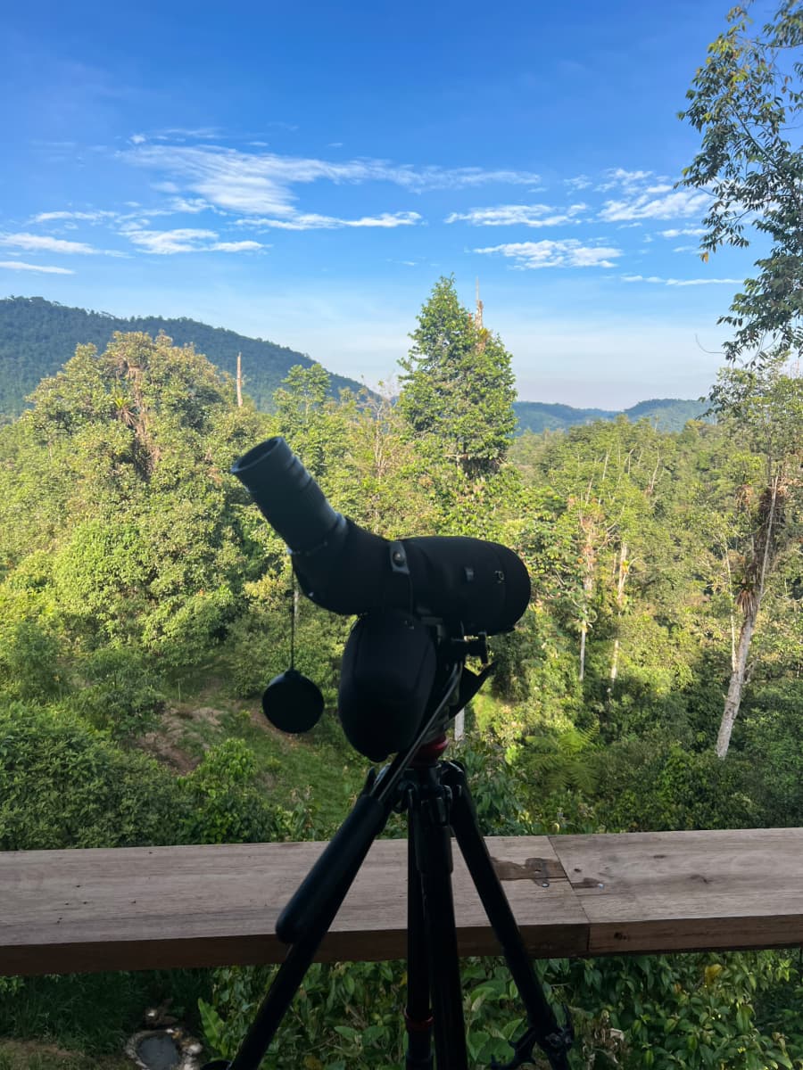Mindo Bird Watching guide in the cloud forest of Mindo, Ecuador
