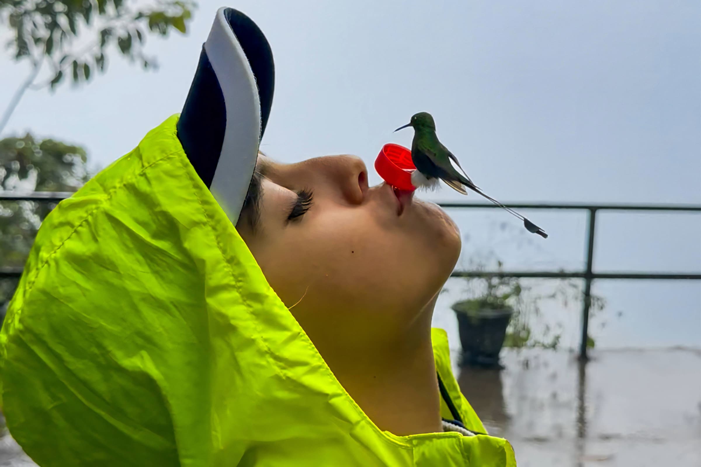 Birdwatching in Mindo cloud forest