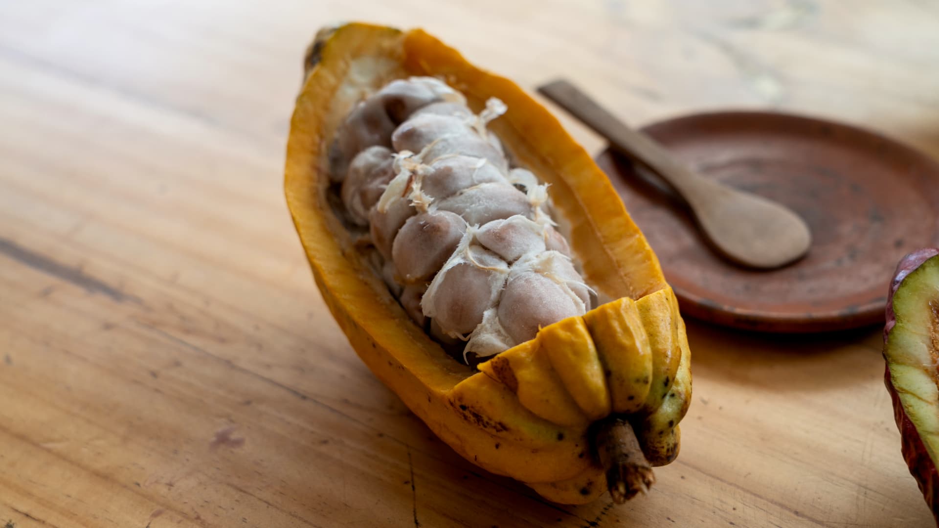 Chocolate tour in Mindo, Ecuador