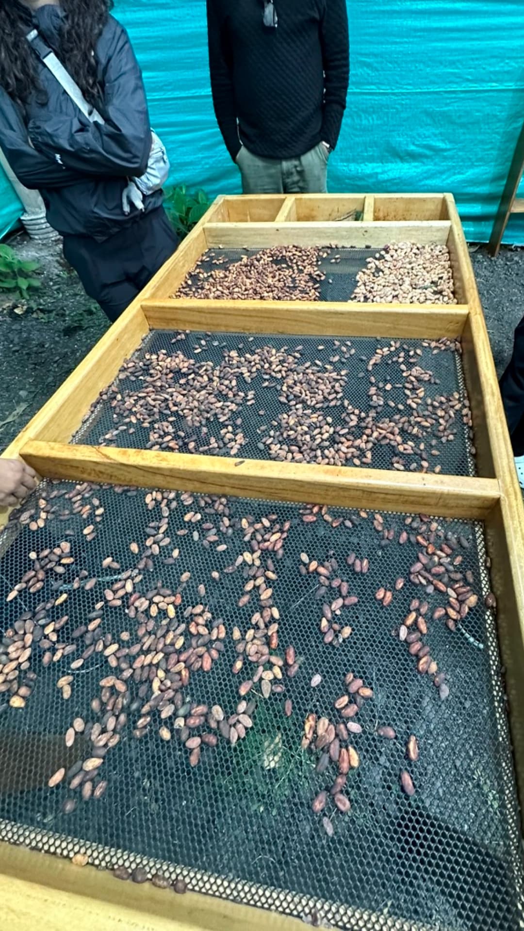 Roasting cacao beans during a chocolate tour in Mindo, Ecuador