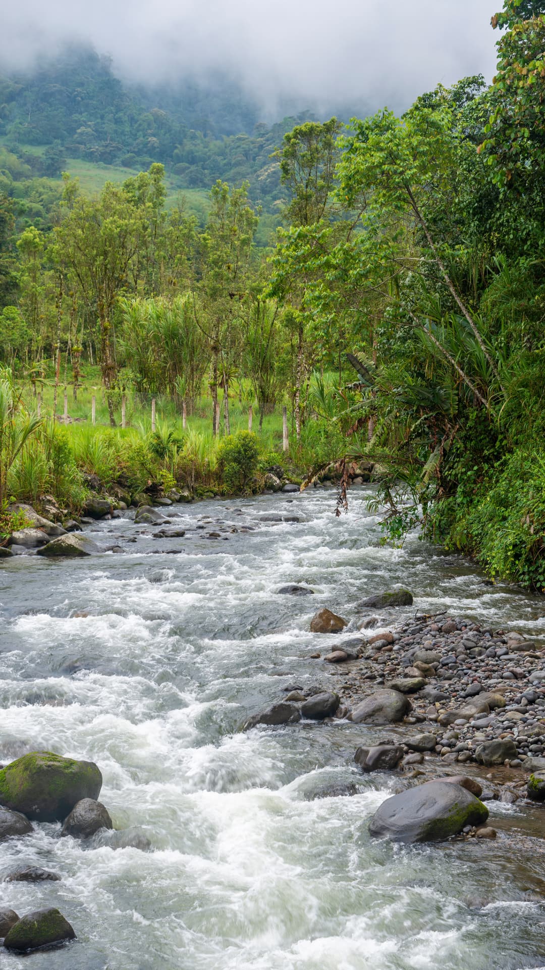 Tubing in Mindo, Ecuador