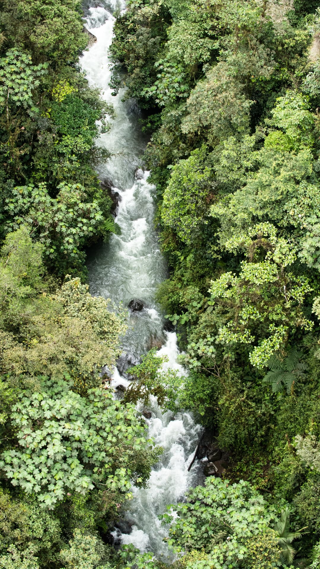 Inner tube ride on a river in Mindo Ecuador