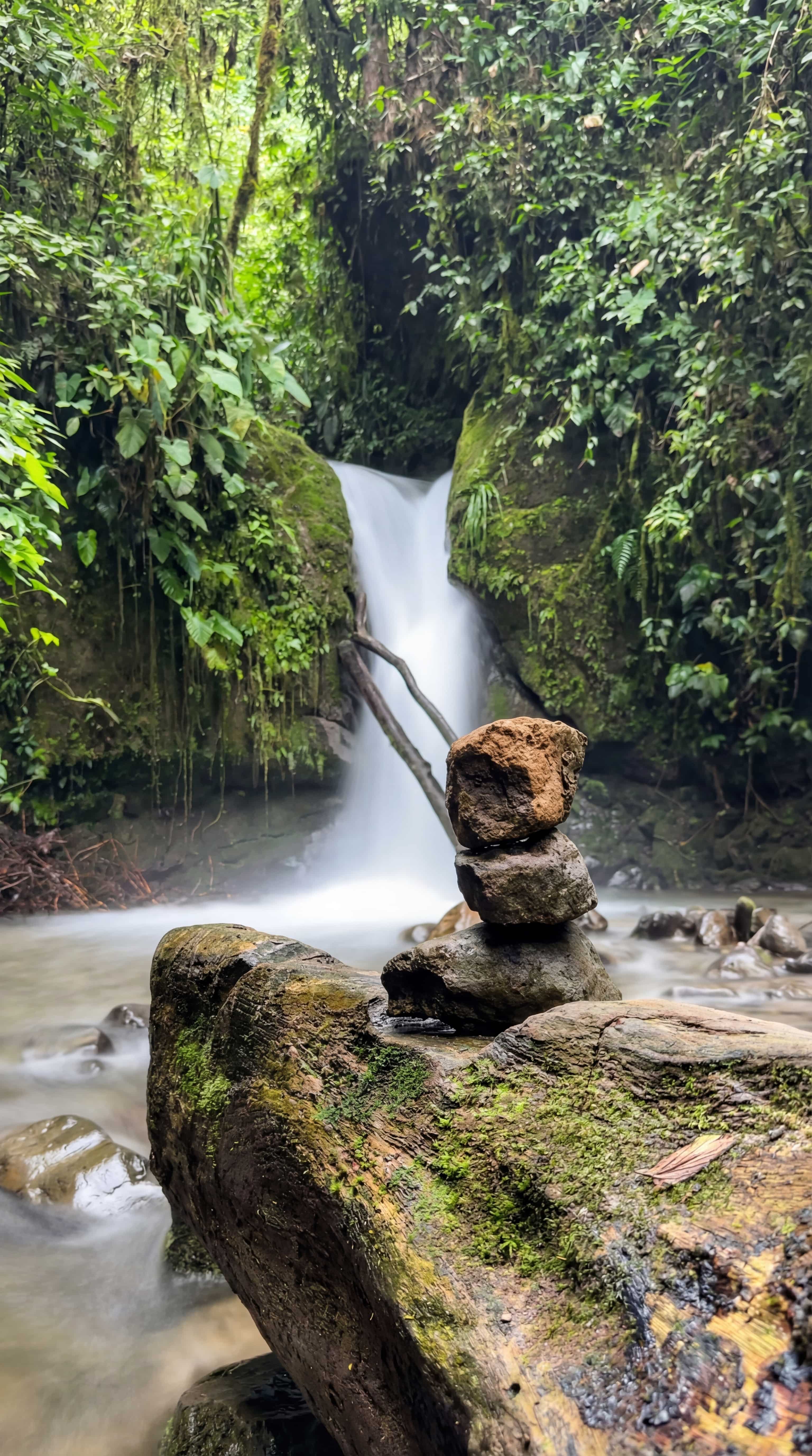 Cloud forest trail and waterfall views in Mindo Ecuador