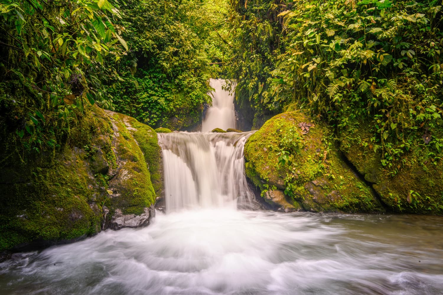 Waterfalls and nature near Mindo