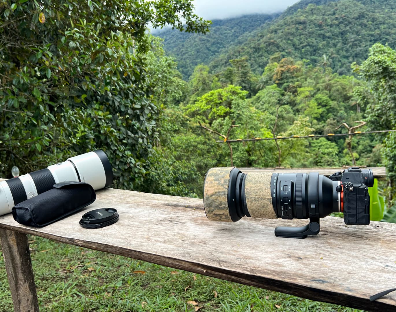 Birdwatching in Mindo cloud forest with a guide
