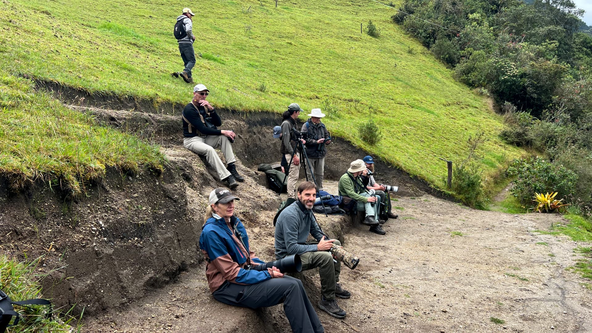 Guided birdwatching tours in Mindo, Ecuador