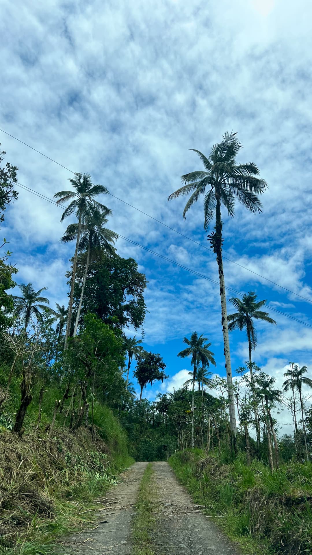 Road to Mindo, Ecuador