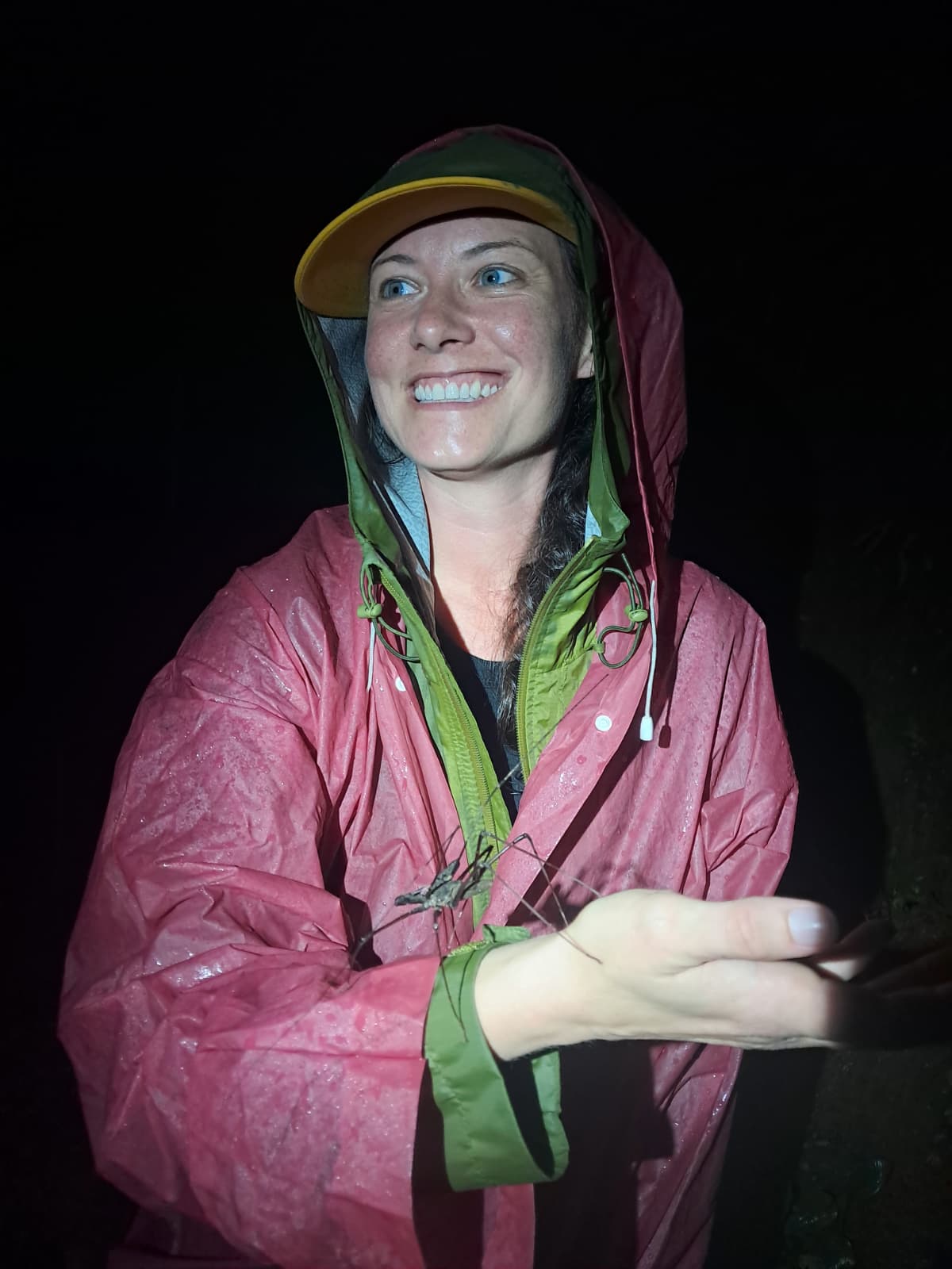 Night walk and cloud forest activity in Mindo Ecuador