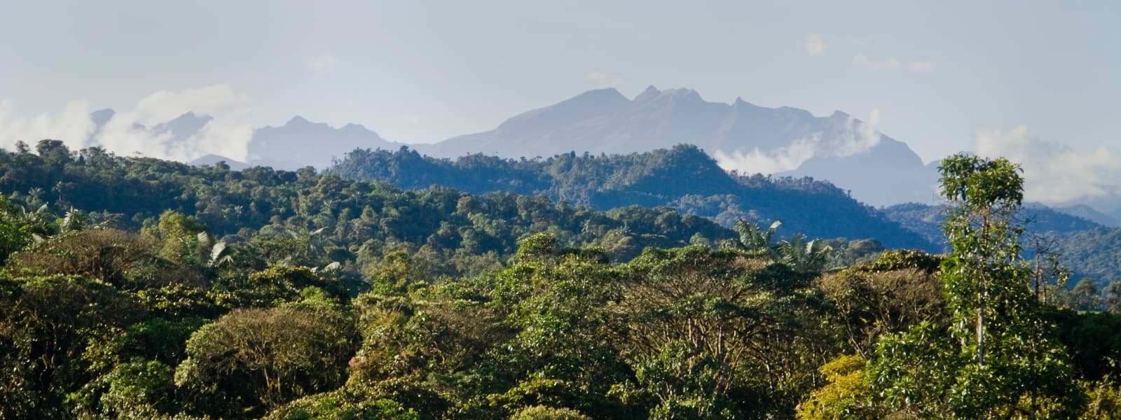 Cloud forest view near Mindo, Ecuador