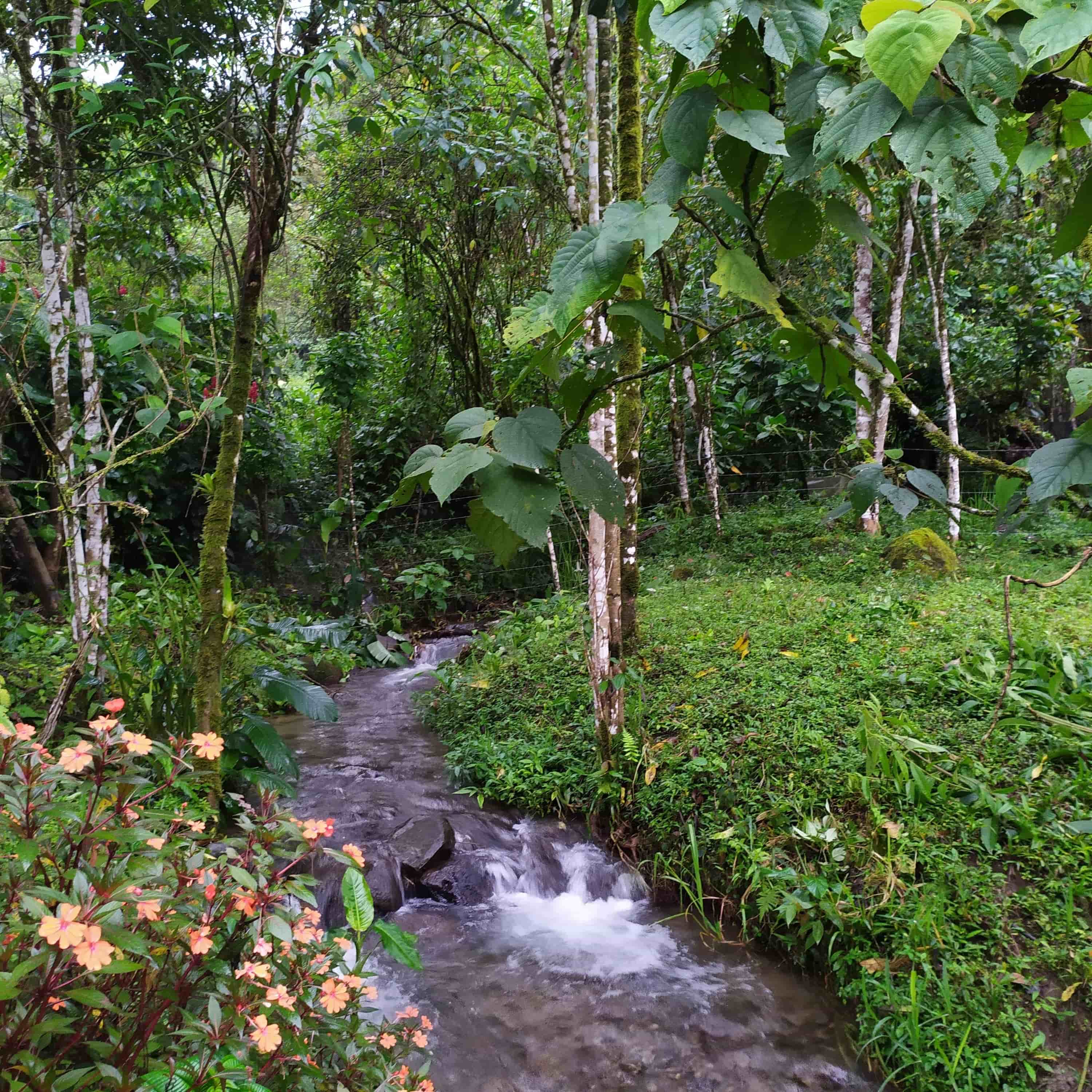 Mindo Eco nature stay interior