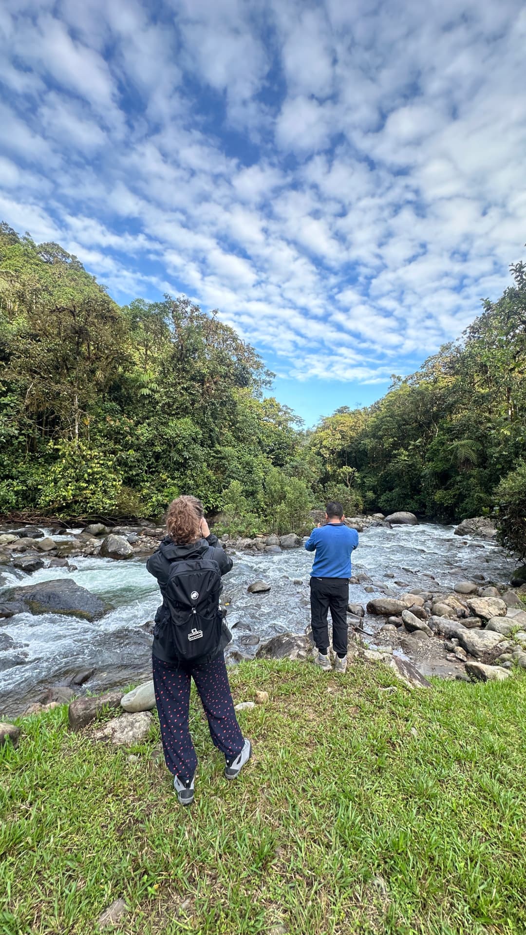 Private birdwatching guide in the Mindo cloud forest, Ecuador