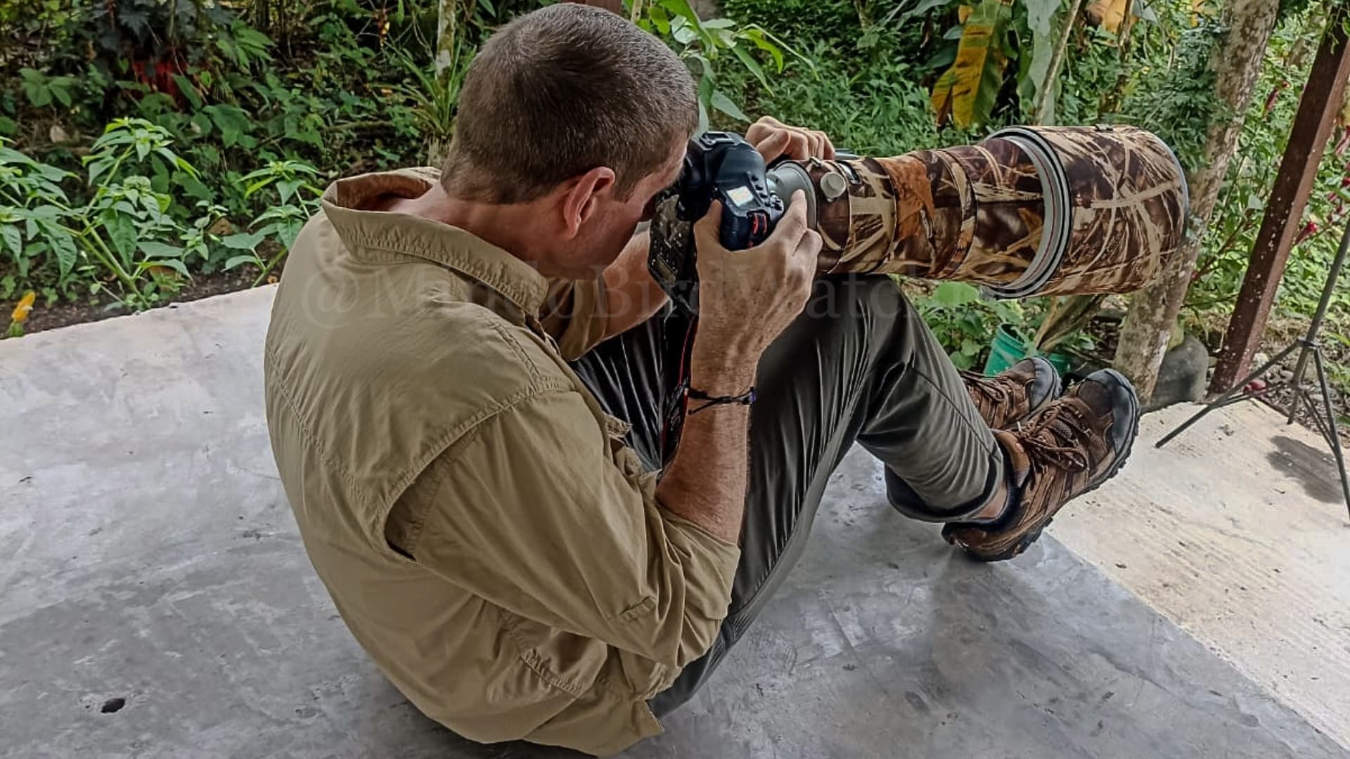 Custom private birding tour in Mindo