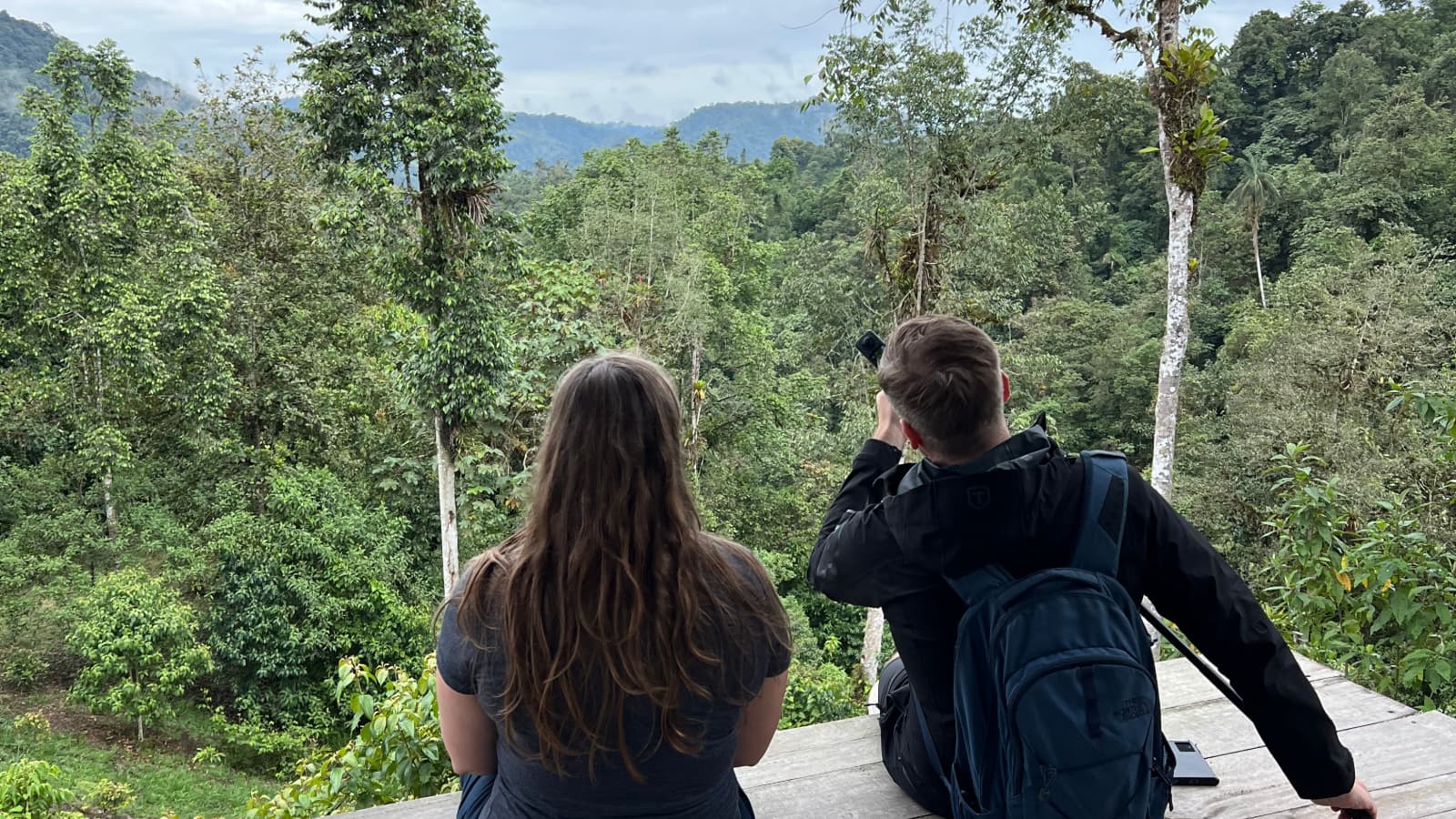 Full-day birding route in Mindo with guide and cloud forest habitat