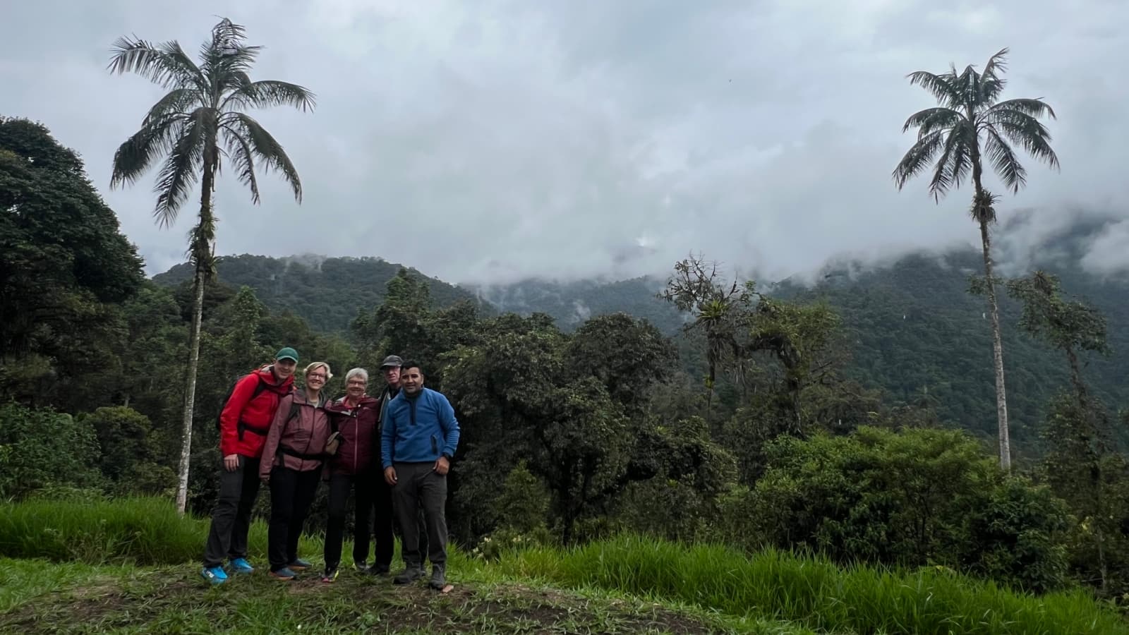 Cloud forest birdwatching stop on a full-day Mindo tour