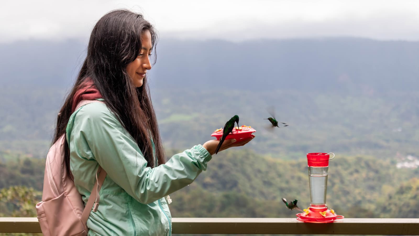 Guided full-day birding experience in Mindo Ecuador