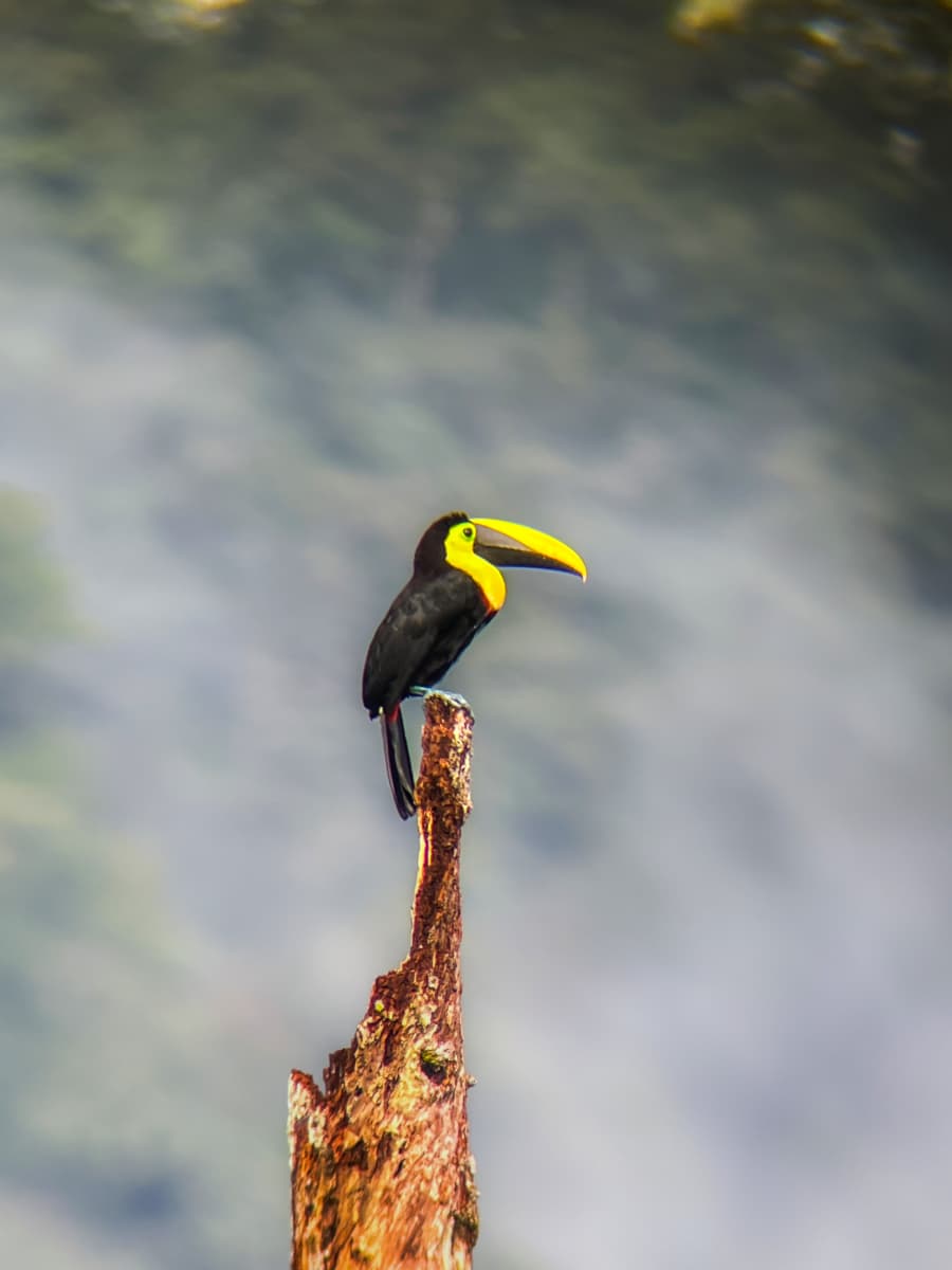 Full day tour vertical photo 59