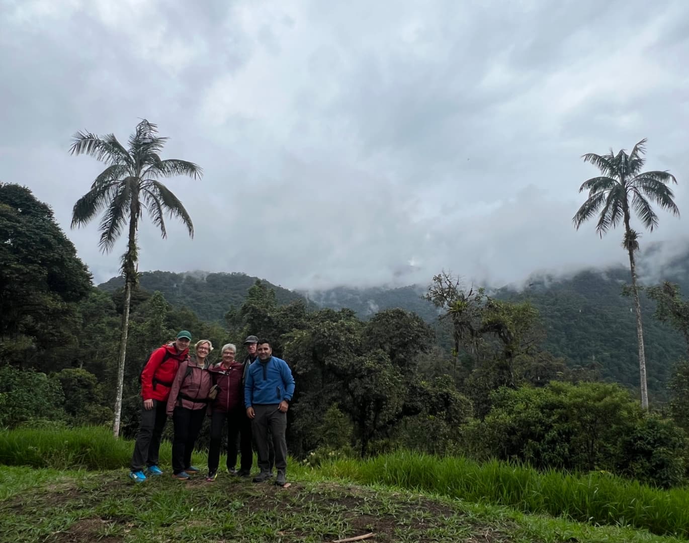 Guided birdwatching tours in Ecuador