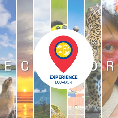 Experience Ecuador travel planning inspiration