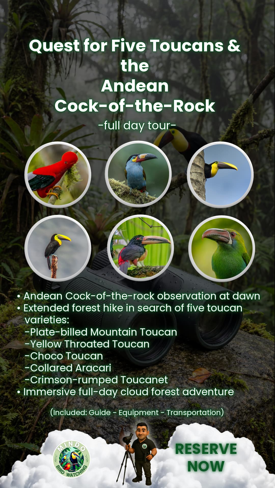 Full day tour package