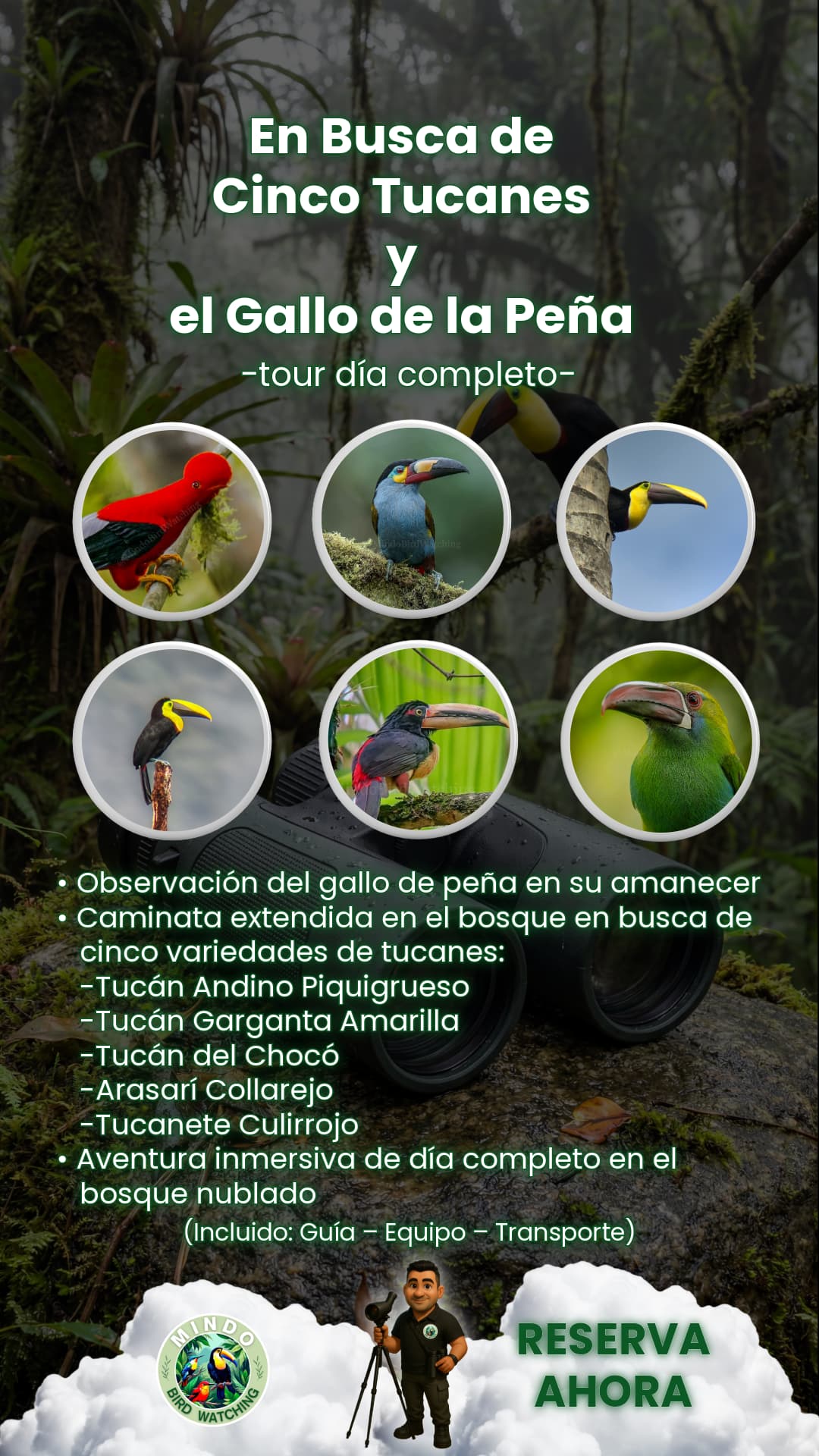 Paquete del tour de día entero
