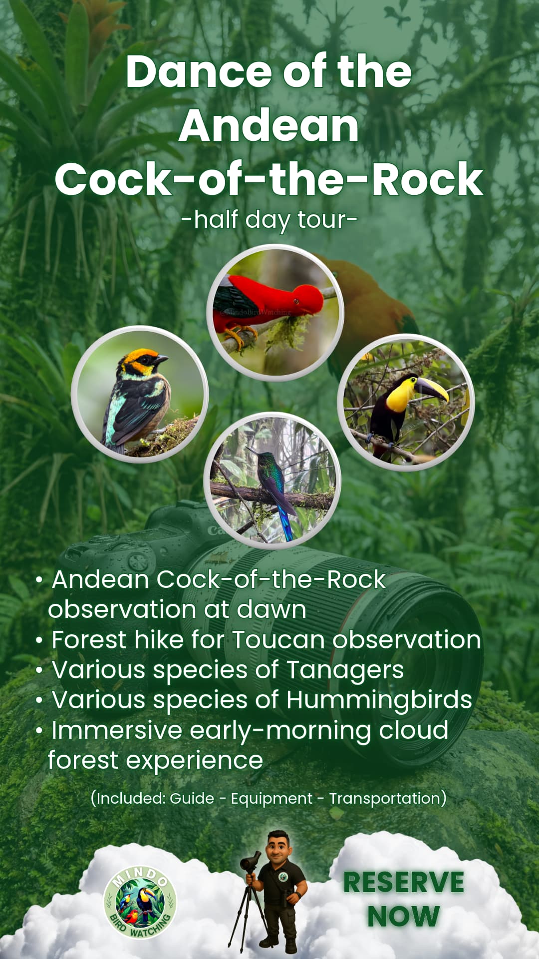 Half day tour option 1