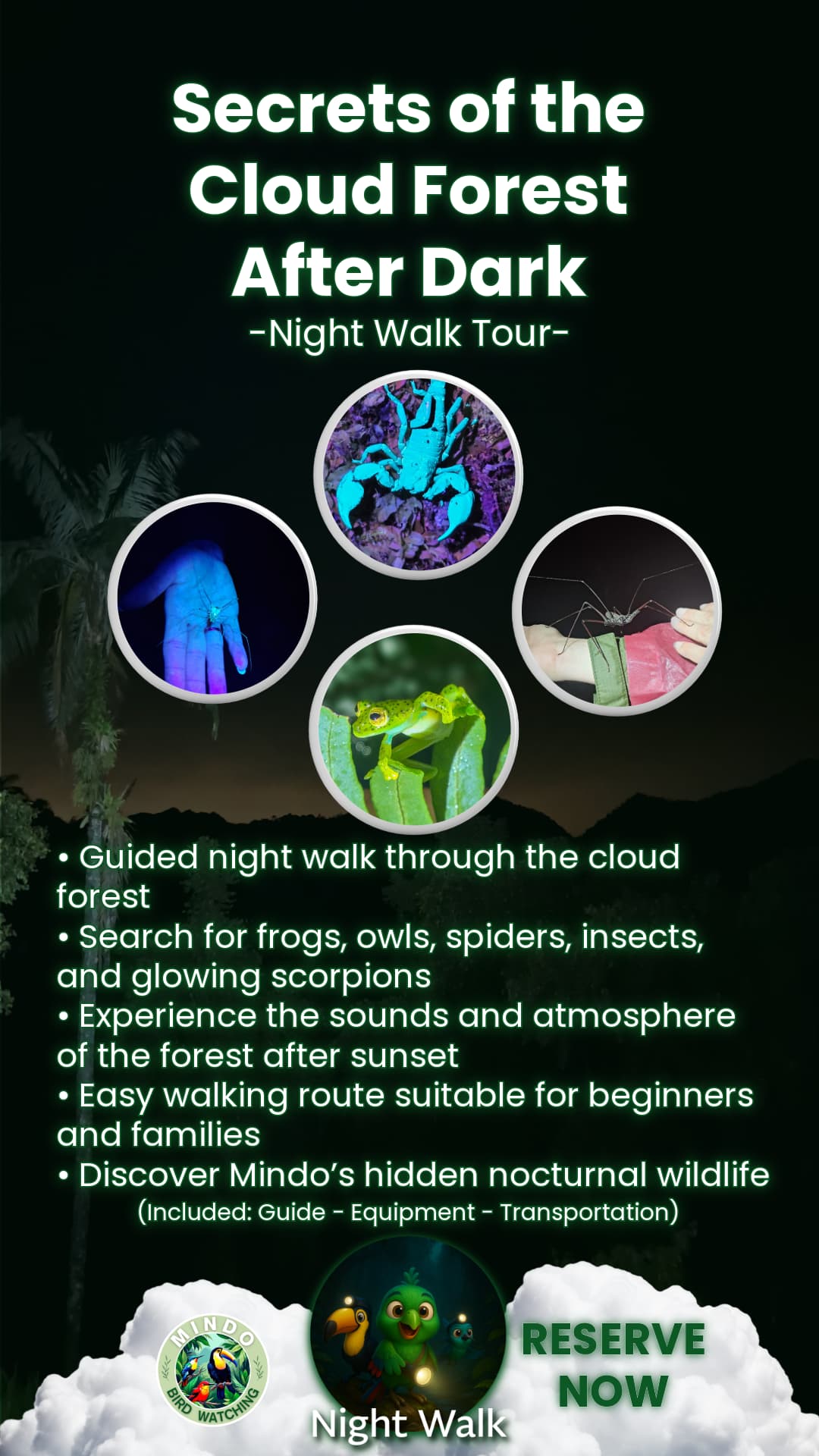 Glowing scorpion during a guided night walk in Mindo, Ecuador