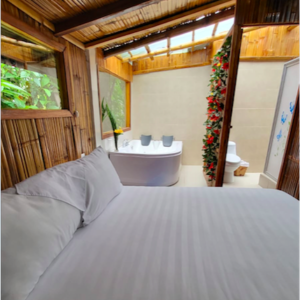 Placeholder image for suites and rooms at Mindo Glambird